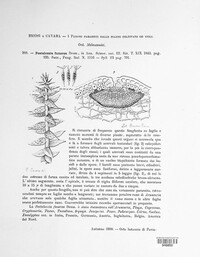 Pestalotia funerea image